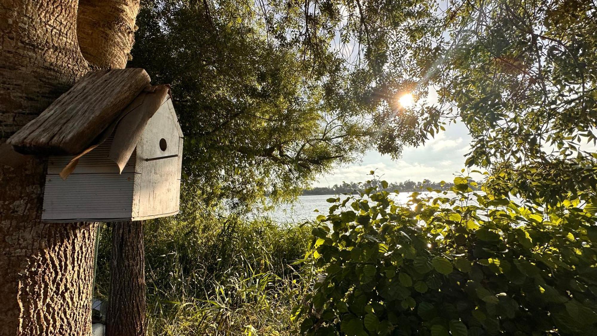 Casa Do Areal, Refugio Das Rotas Pedestres Em Mira ميرا المظهر الخارجي الصورة
